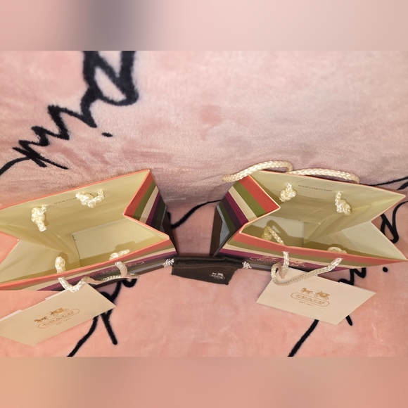 Coach Rainbow Stripe Gift Bag Set - Picture 3 of 3